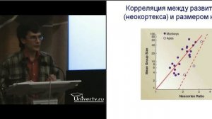 Александр Марков - Обзор достижений эволюционной психологии