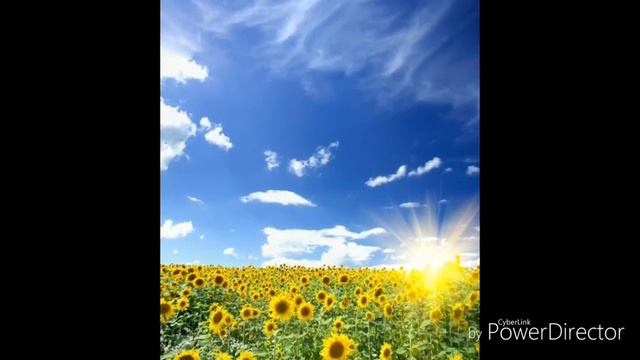 Солнечные люди. смотреть онлайн