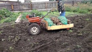 Дачный прицеп для мотоблока