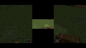 я построил свою деревню в Майнкрафте!