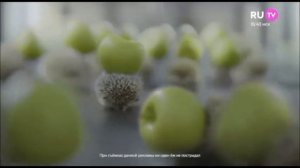 Реклама Дары Кубани   Август 2018, 10с