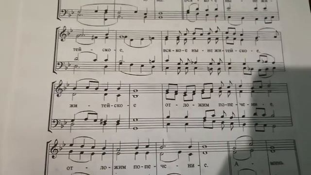 №4 УНИКАЛЬНЫЙ СБОРНИК!!!! Г.Н. Лапаев Литургия Василия Великого. Нотный разбор. Все голоса. смотреть онлайн