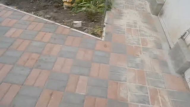 Учим собаку апортировке - День 4 (Подача с командой) смотреть онлайн