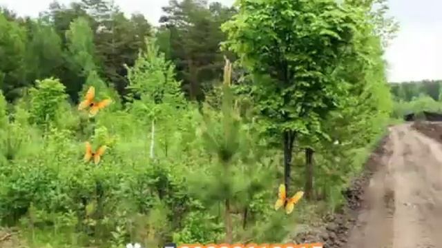 Где купить землю в Тюмени недорого?