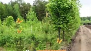 Где купить землю в Тюмени недорого?