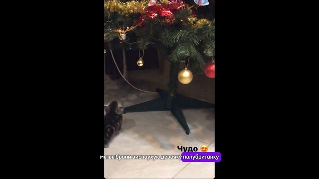 Мальчишь-плохишь ❤️