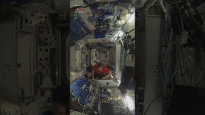 Все в один отсек! #iss #space #космос #мкс