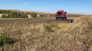 Жатка Harvester 8400, безрядковая Жатка для Подсолнечника.