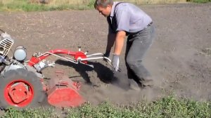 Мотоблок мотор-сич, осенняя культивация огорода фрезой