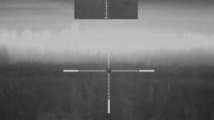 Крупного секача сгубило любопытство! Охота на кабана