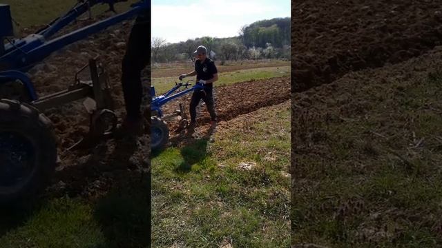 Пахота мотоблоком зубр