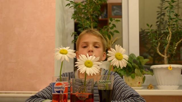 ЛАЙФХАК. Красим цветы. Timelapse