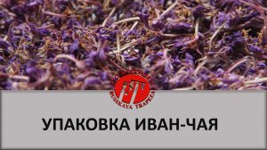 Упаковка Иван-чая