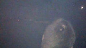 Москвич 412 с двигателем от Бмв. 192 л.с.