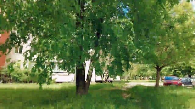 Гомель. Старый Аэродром. (Belarus,Gomel)