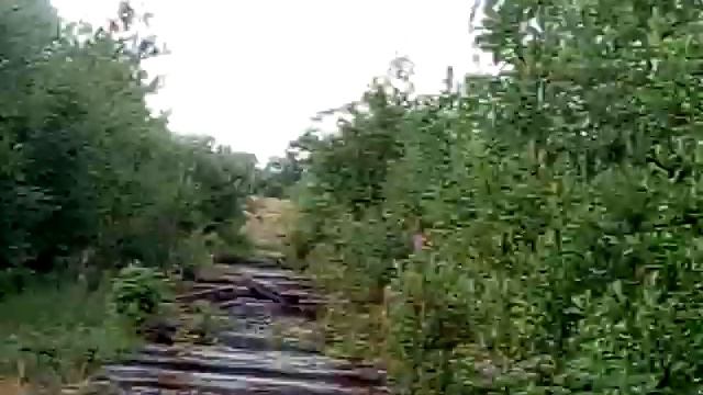 Прогулка в лес. Как говорится ( волков бояться , в лес не ходить ) И мы ходим .А куда деваться ? смотреть онлайн