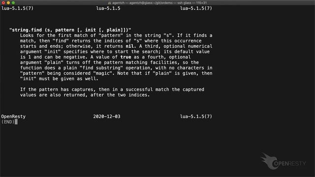 Lookup OpenResty Documentation on Terminal with restydoc смотреть онлайн