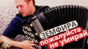 Это просто ШЕДЕВР ! ! ! Земфира Хочешь на Баяне / Amazing music on the Accordion