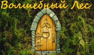 Волшебный лес. Мелодия волшебства. Атмосферная. Расслабляющая. Умиротворяющая.