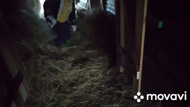 кто за чей счет😂//на моем канале только позитивные и умные😘//11 октября 2023 г. смотреть онлайн