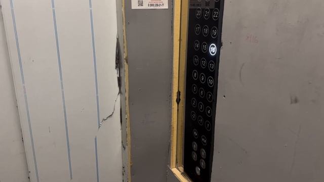 Расцветай на Ядринцевской. Продажа 1к квартиры смотреть онлайн