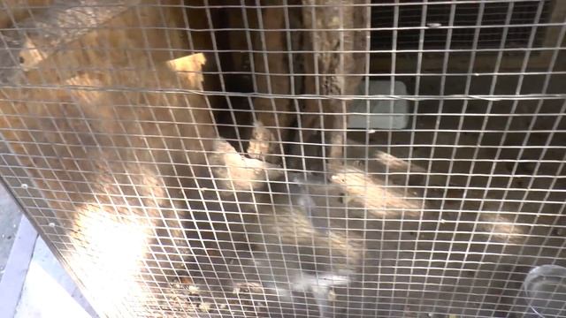 Бахчисарай. Крым в миниатюре. Погуляем? смотреть онлайн