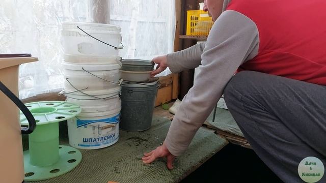 Уборка на даче продолжается. Дел куча. Ничего не успеваю.