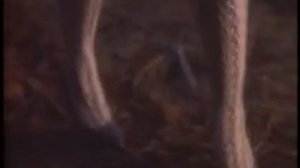 Helloween -" Halloween" (Keeper of the 7 keys part.1) +_+ (HQ)