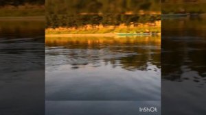 Москва. Гребной канал. Тренировка по академической гребле