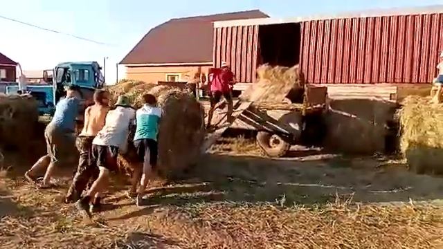 Закатываем рулоны на сеновал смотреть онлайн