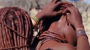 Жизнь по законам саванны Намибия 2013