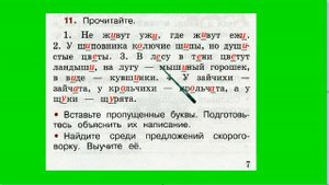 Упражнение 11. Русский язык 2 класс рабочая тетрадь 2 часть. Канакина