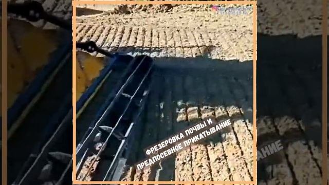 Фрезеровка почвы и предпосевное прикатывание (предпосевное выравнивание).