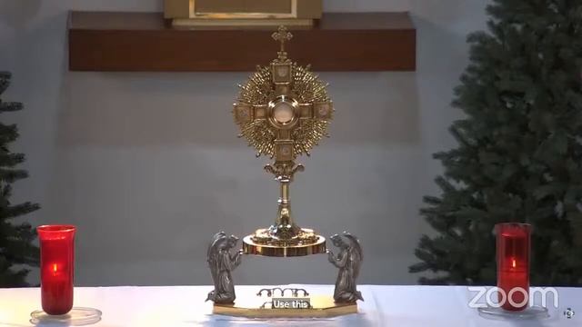 Misterios Dolorosos. 5- 1- 24 . смотреть онлайн