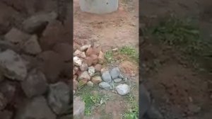Установка глиняного замка на колодец (часть 1)