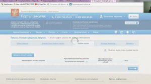 Формирование плана графика вкладка Особые закупки