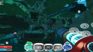 Где найти медового гордо слайма в игре Slime rancher