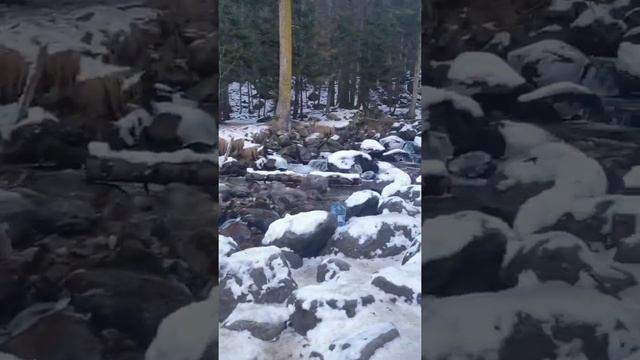 Солнечный?WEEKEND в ДОМБАЕ