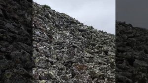 Сахалин. гора Краснова. сентябрь 2022