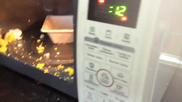 Что будет если в микроволновку поладить яйца смотреть онлайн