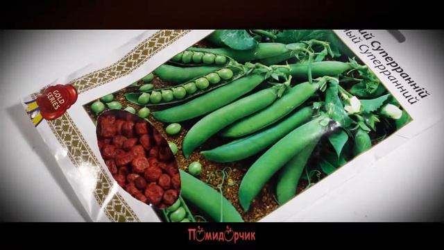 Семена Горох Сахарный Суперранний GOLD - Помидорчик смотреть онлайн