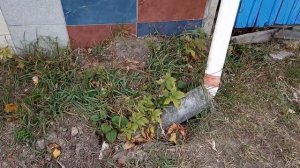 Водоотведение в частном доме: у меня так