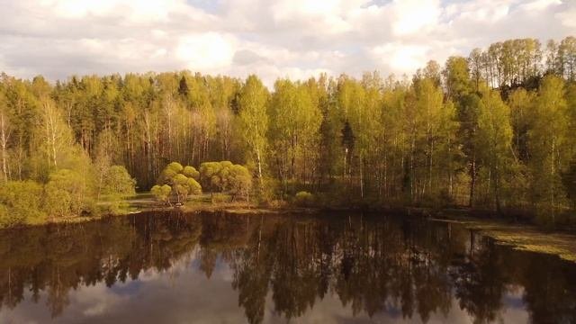 Инфраструктура Юкковское парк