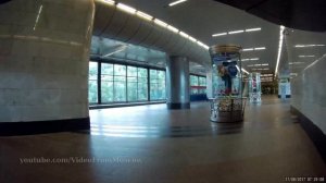 И опять Воробьёвы горы // 11.08.2017