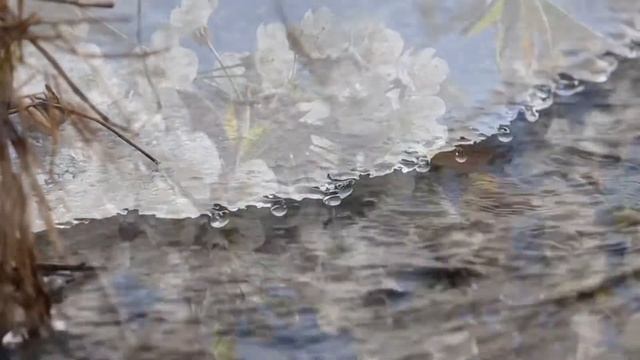 Доченьке смотреть онлайн