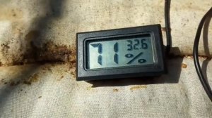 Пчёлы!!!…ЭНДОВИРАЗА !!!, что происходит после обработки