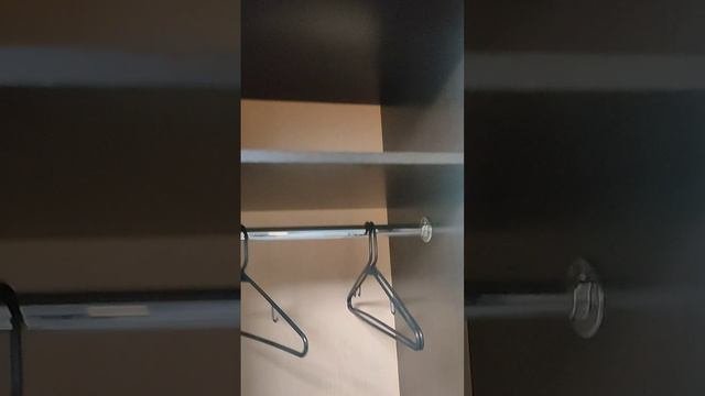 Video5316844469323061539