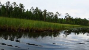 Рыбалка в Карелии 2016. Карелия. Река Кереть. Белое Море. Пяозеро
