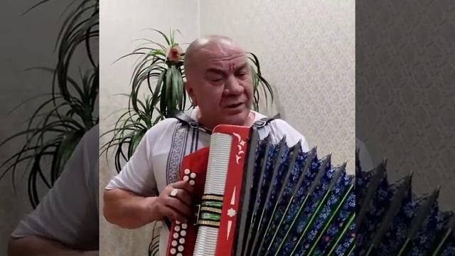 Рустам Зиатдинов очень красиво играет и поёт. смотреть онлайн