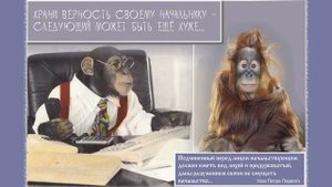 "Начальник" Михаил Ножкин (шуточная песенка)